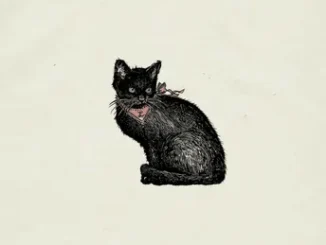 Tough Luck Lyrics  Laufey