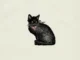 Tough Luck Lyrics  Laufey